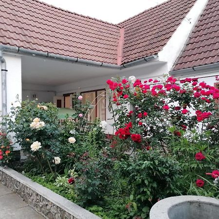 Hotel Pensiunea Spack Cristian  Exterior foto