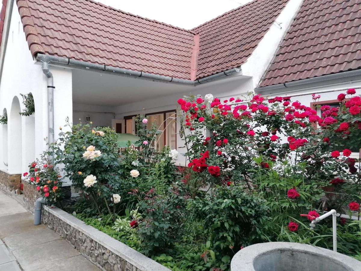 Hotel Pensiunea Spack Cristian  Exterior foto